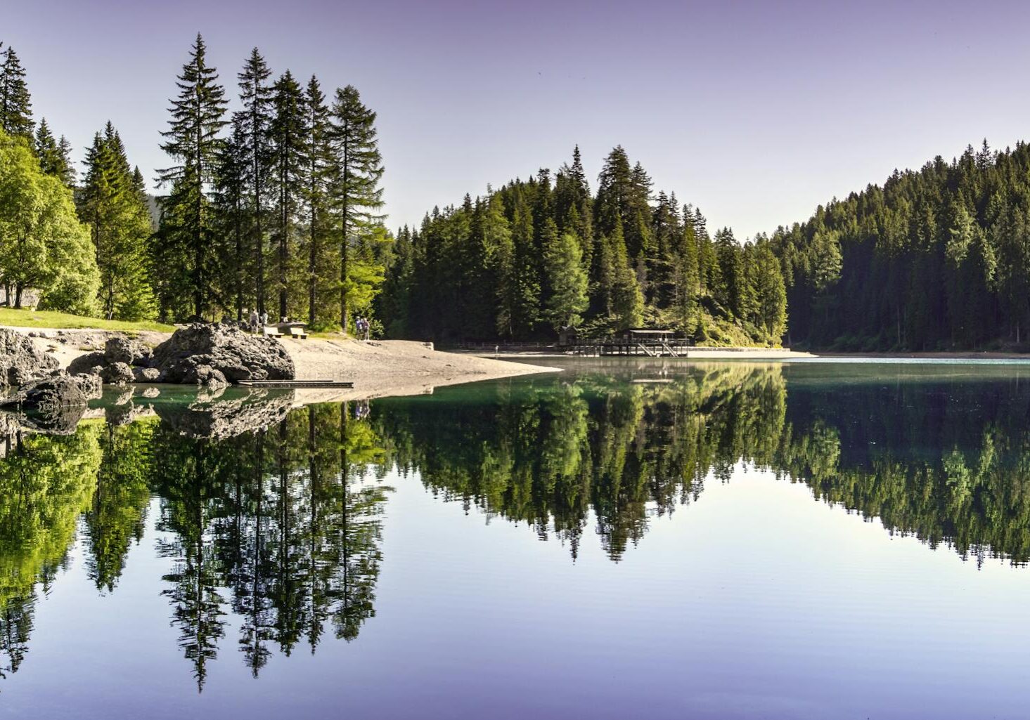 Tranquil summer view of a forest lake with clear reflections and evergreen trees.